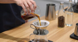 10 Best Cold Brew Coffee System in 2026
