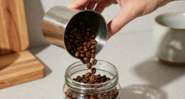 13 Best Coffee Bean Dispenser for Home in 2026