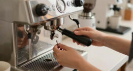 13 Best Knock Drawer for Espresso Bar in 2026