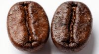 freshness grind roast quality