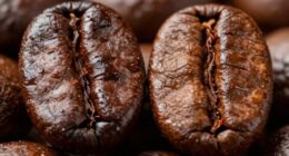 roast level affects flavor