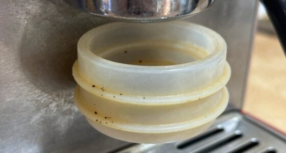 silicone seals deteriorate over time