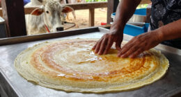 Dosa seller prepares Dosa for Cow that regularly visits his stall