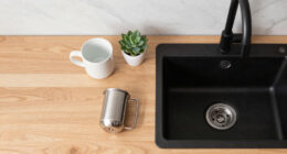 10 Best Cast Iron Sinks in 2026