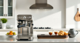 Best Breville Portafilter Accessories & Parts in 2026