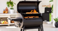 Ninja Outdoor Woodfire Pro XL Grill & Smoker: Your Summer BBQ Companion
