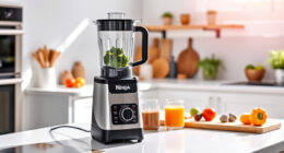 Summer Refresh with the Ninja BN805A Pro Plus Kitchen System