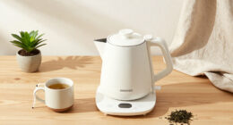 12 Best Electric Kettles for Students in 2026