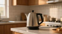 14 Best Portable Electric Kettles in 2026