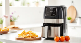 Summer Freshness: Ninja DoubleStack XL Smart Air Fryer Review