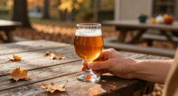 5 Best Fall Beers in 2026